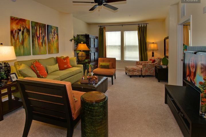 Living Area at these Round Rock Apartments